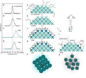 Bipolar-shell resurfacing for blue LEDs based on strongly confined perovskite quantum dots
《Nature Nanotechnology》