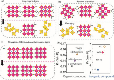 All-Inorganic Quantum-Dot LEDs Based on a Phase-Stabilized α-CsPbI3 Perovskite 《Angew. Chem. Int. Ed》.jpg