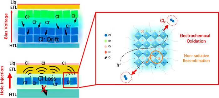Overcoming Degradation Pathways to Achieve Stable Blue Perovskite Light-Emitting Diodes 《ACS Energy Letters》.jpeg